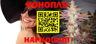 мяу мяу мука Новозыбков