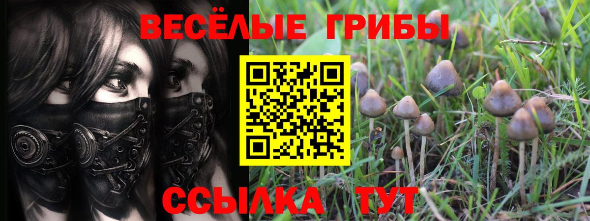Псилоцибиновые грибы Magic Shrooms Мончегорск
