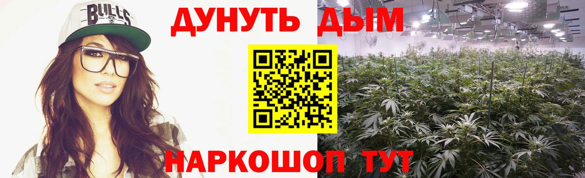 Каннабис гибрид Мончегорск